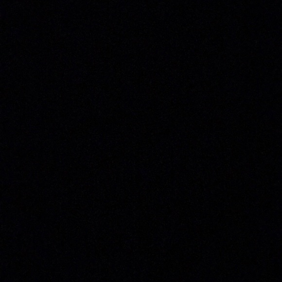 Meet your Posher, Rilee - Picture 1 of 1